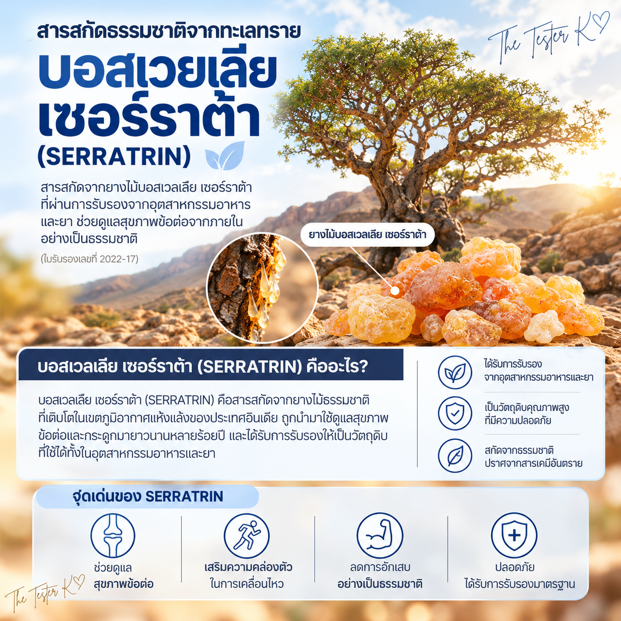 Joint Solution Boswellia 7 1 กล่อง มี 2 กระปุก (ทานได้ 84 วัน) - Image 8